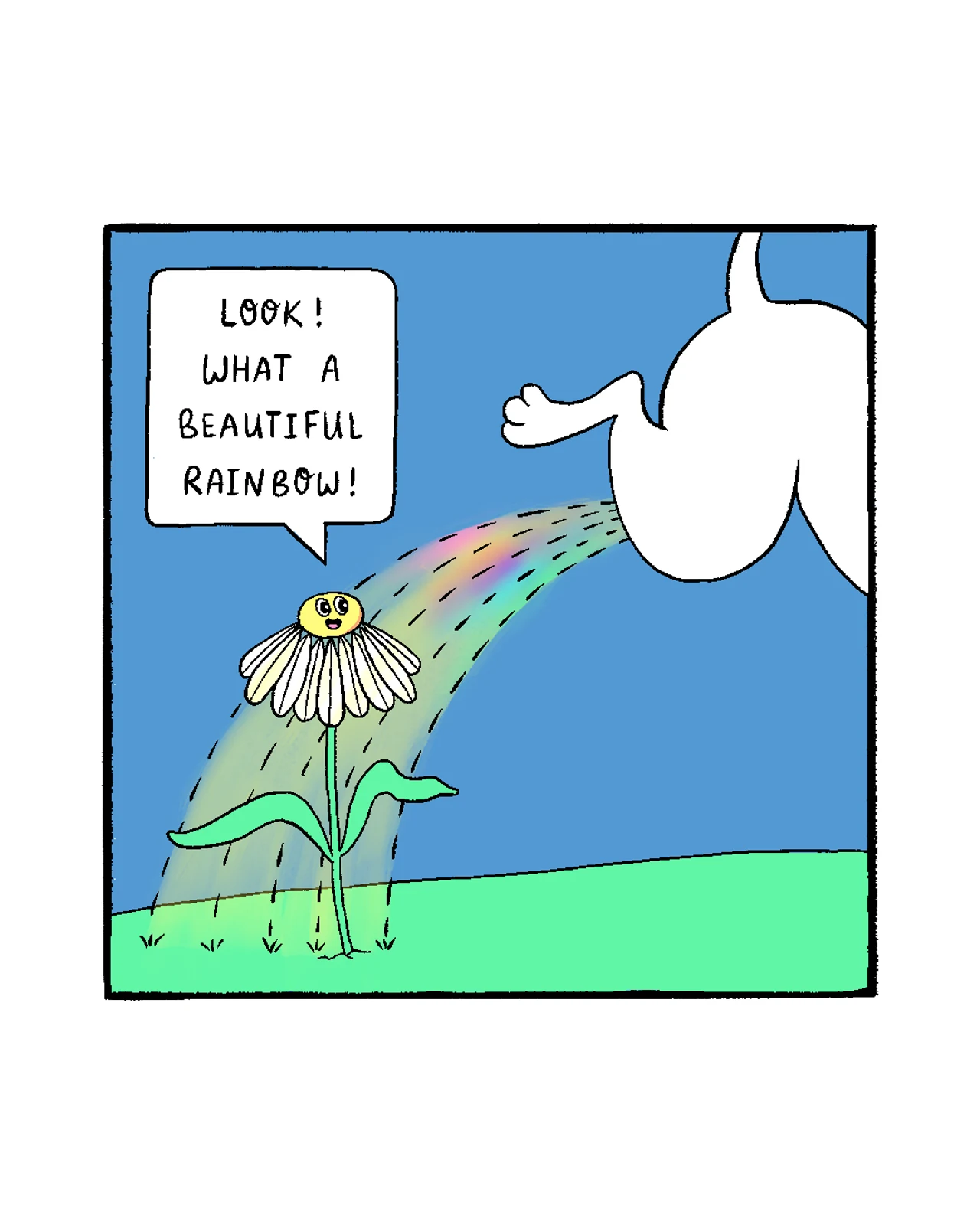Beautiful Rainbow